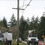 Utility Transmission & Distribution Trimming and Reclamation